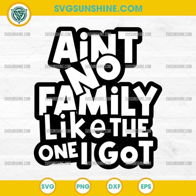 Aint No Family Like The One I Got SVG design with bold funny quote