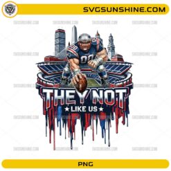New England Patriots They Not Like Us PNG football player stadium fan art