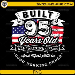 Built 95 Years Old PNG vintage American flag birthday design