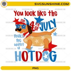 4th Of July Hotdog Dog PNG funny patriotic dachshund hotdog sublimation design
