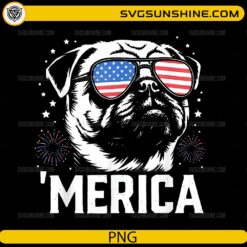Funny 'Merica pug wearing American flag sunglasses with fireworks patriotic PNG