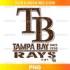Tampa Bay Rays Vintage TB Logo PNG featuring distressed brown TB initials and retro baseball lettering